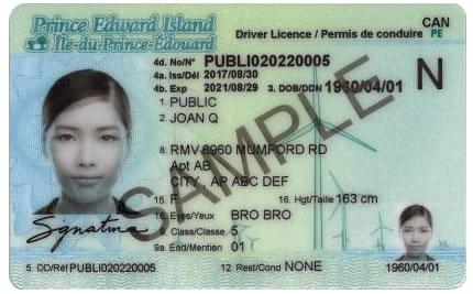 Driver's Licence